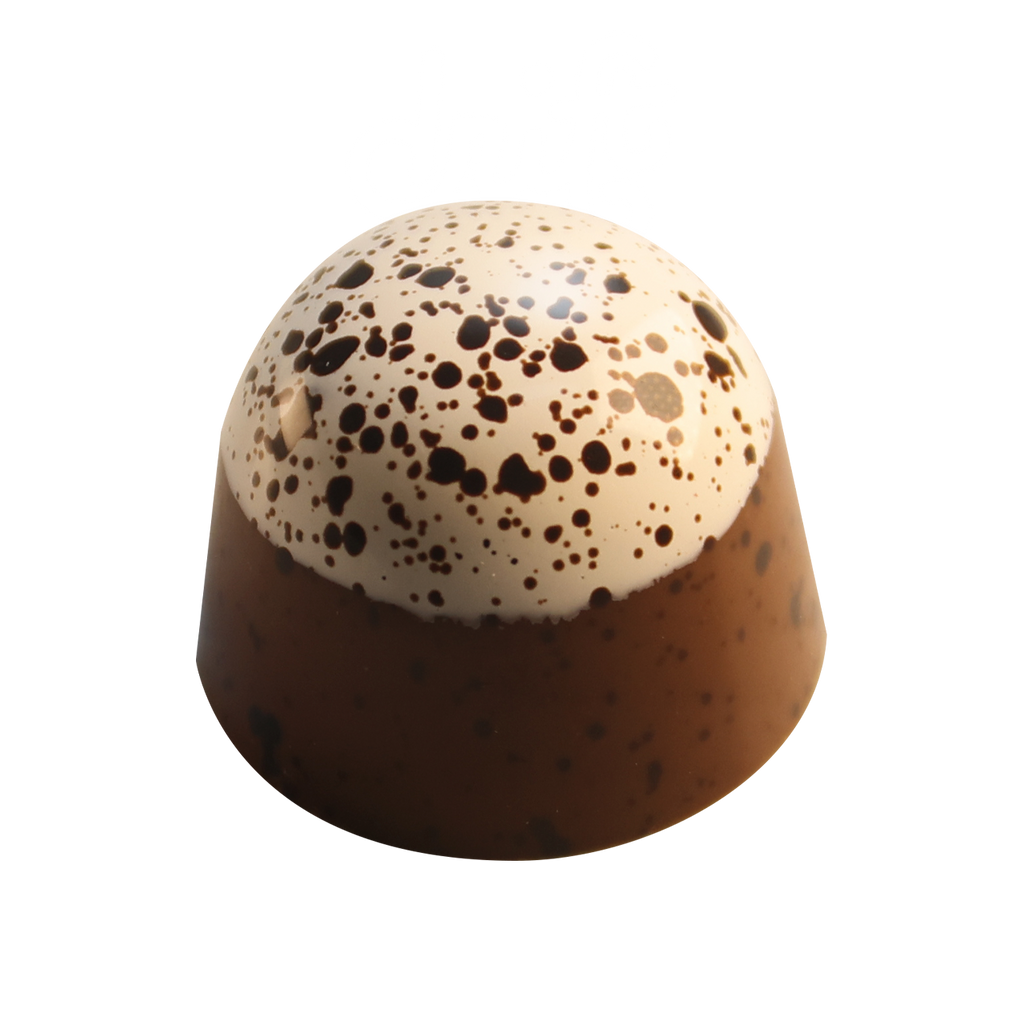Campfire S'mores