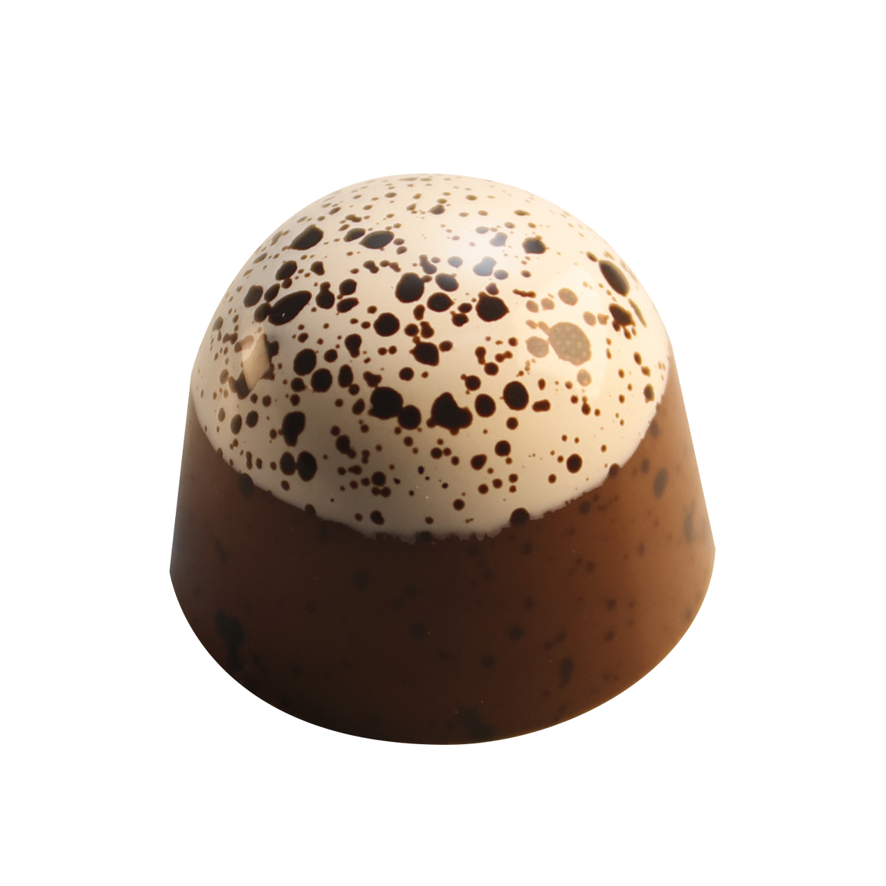 Campfire S'mores