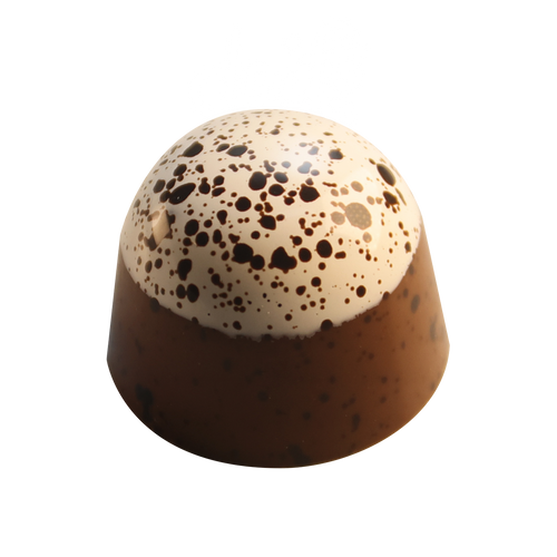 Campfire S'mores
